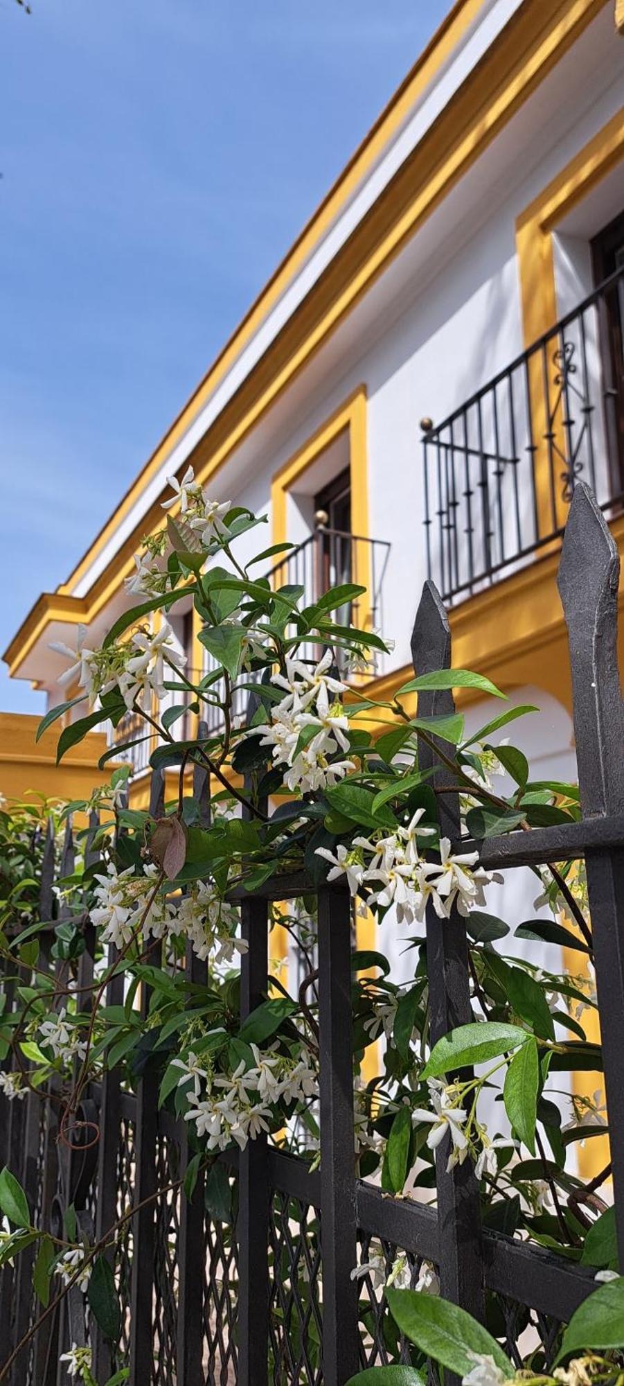 Villa Marcel เฮเรซ เด ลาฟรอนเตรา ภายนอก รูปภาพ